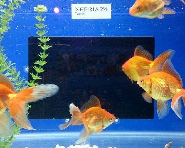 Впечатления от презентации Sony и немного про ее место в фотографии